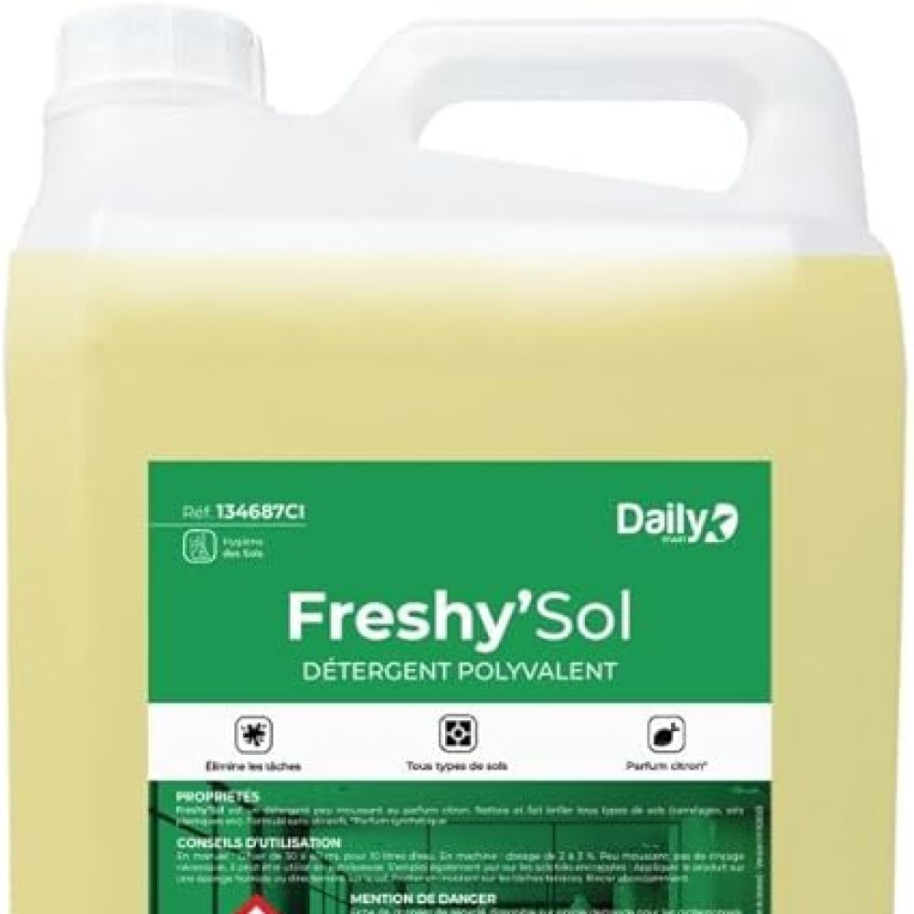 FRESHYSOL 2D Détergent désodorisant DAILYK START -Bidon 5L | PMP Décor