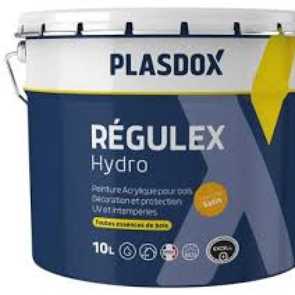 REGULEX HYDRO SATIN BLC ou à teinter 10L | PMP Décor