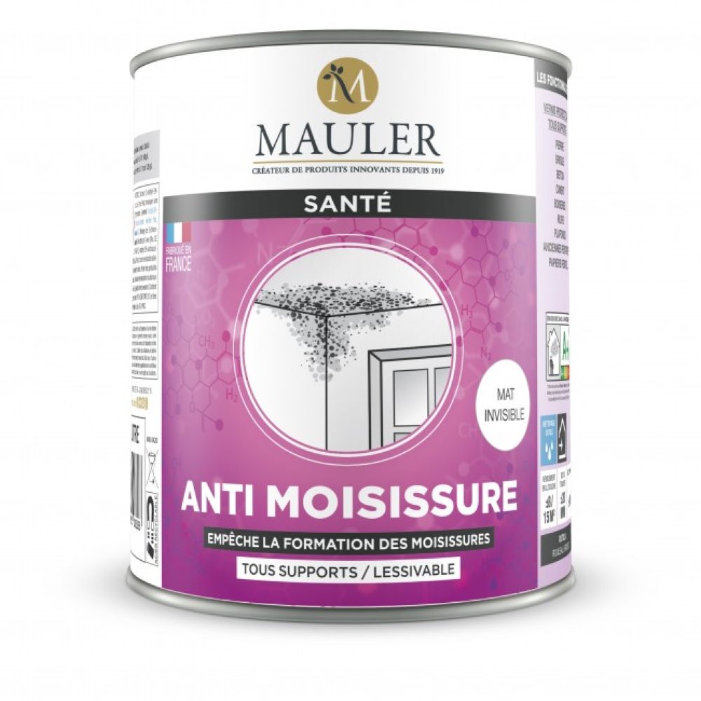 Vernis anti moisissure - tous support - lessivable - Mat invisible - 1