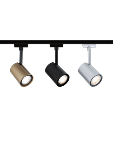 Spot Luxe Led Paulmann - Eclairage Tableau sur Rail Plafond