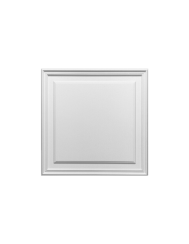 D503 Panneau porte duropolymer Orac Decor
