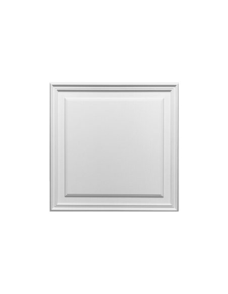 D503 Panneau porte duropolymer Orac Decor