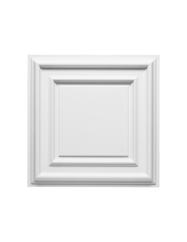 F30 Panneau décoratif porte ou plafond - 59,5x59,5x4,3cm (L x l x h) Orac Decor