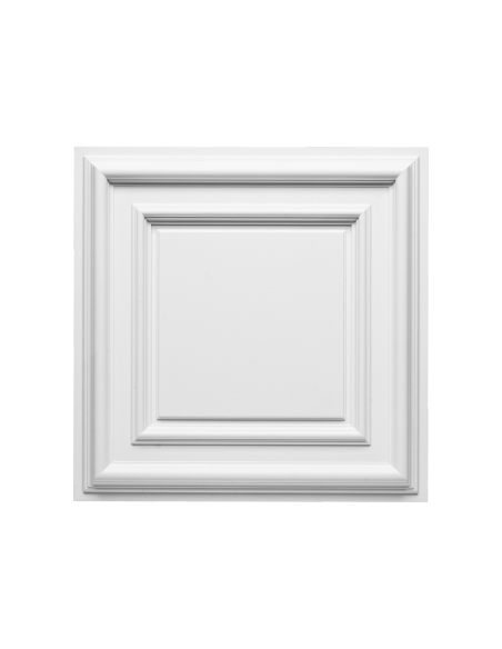 F30 Panneau décoratif porte ou plafond - 59,5x59,5x4,3cm (L x l x h) Orac Decor