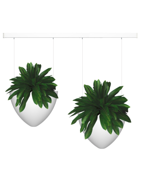 Kit complet avec cimaise Click Rail pour suspension deux cache-pots de fleurs Botaniq - Artiteq