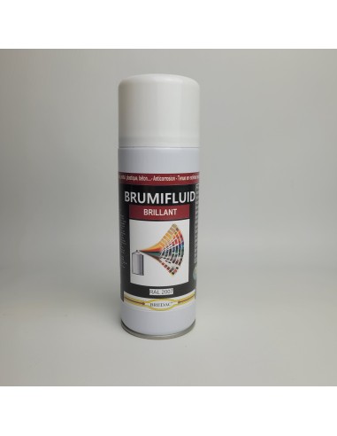 BRUMIFLUID - aspect Brillant - RAL 3005 rouge vin - 400ml BREDAC | PMP